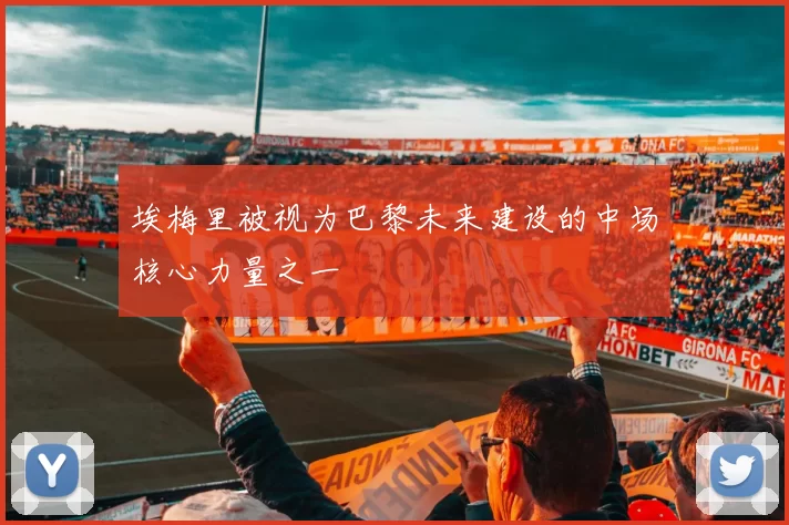 埃梅里被视为巴黎未来建设的中场核心力量之一
